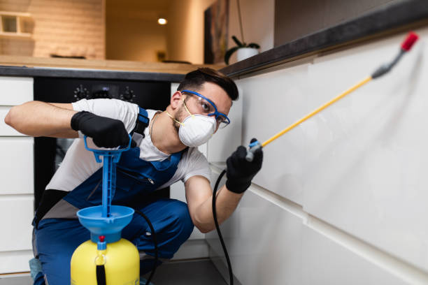 Best Residential Pest Control  in Benton, TN