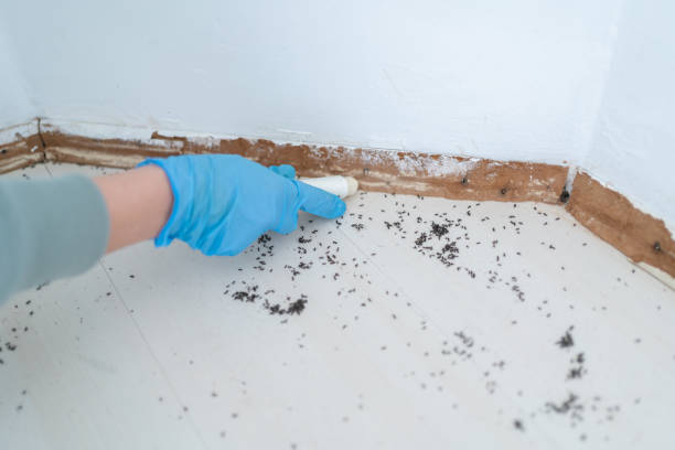 Best Exterminator Services  in Benton, TN
