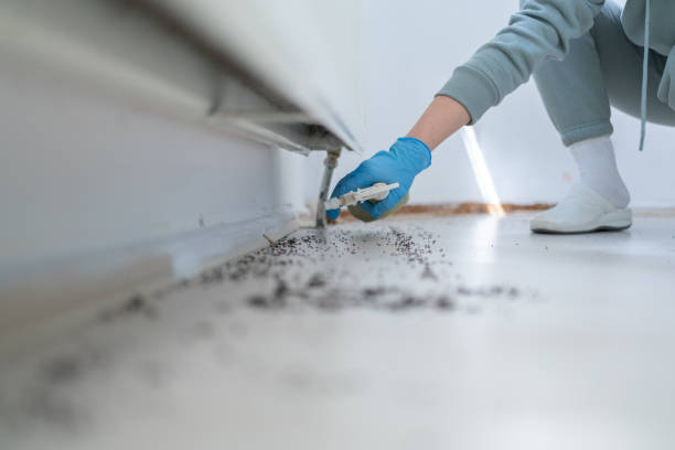 Best Termite Control Services  in Benton, TN