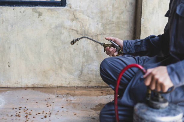 Best Pest Inspection Near Me  in Benton, TN